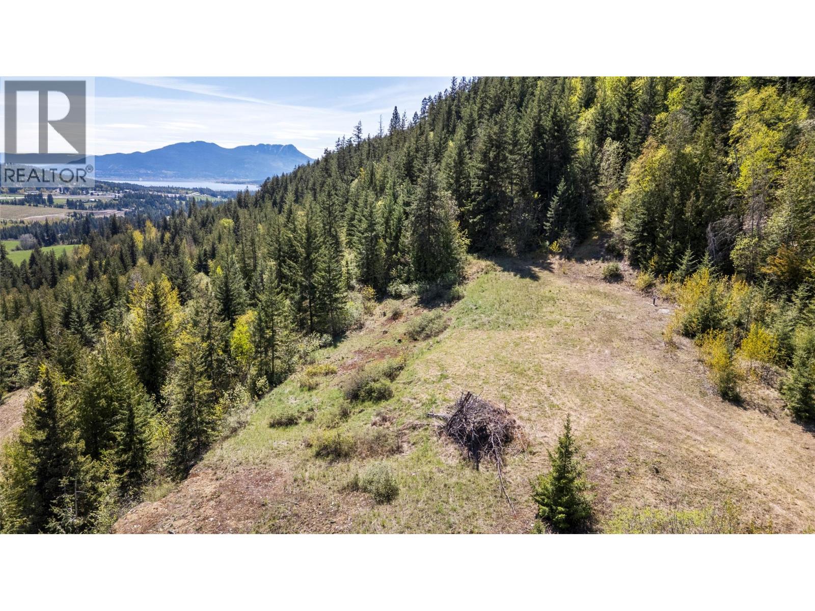 Planned Lot 2 Tappen Notch Hill Road, Tappen, British Columbia  V0E 2X3 - Photo 22 - 10382250