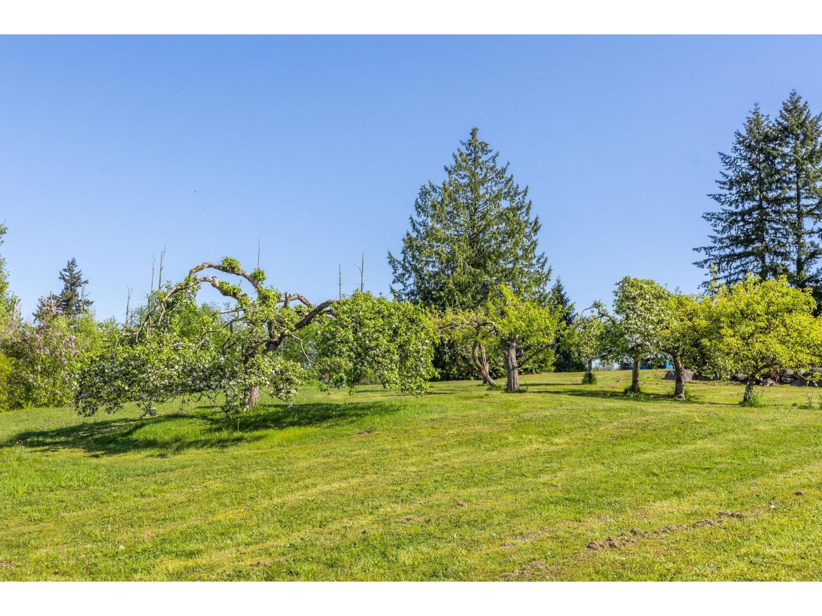 162 210 Street, Langley, British Columbia  V2Z 2G6 - Photo 30 - R3118177