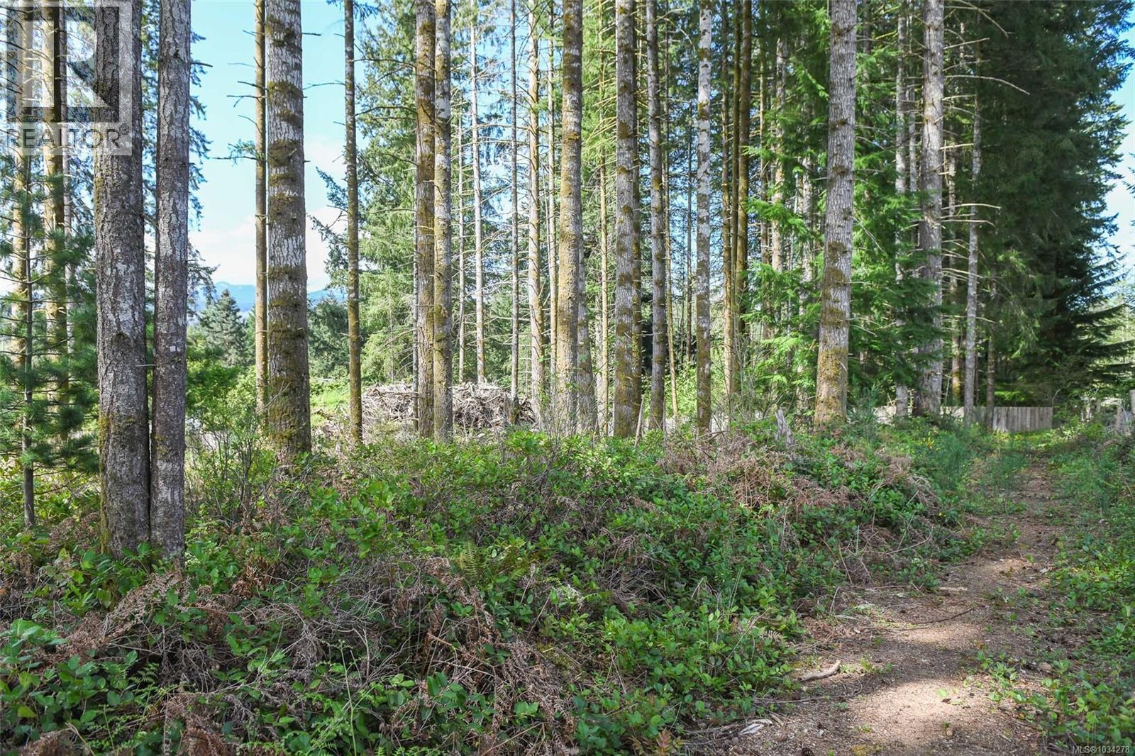 7594 Island Hwy N, Merville, British Columbia  V9N 1G3 - Photo 43 - 1034278