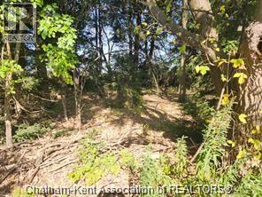 23040 Doherty Street, Chatham-Kent, Ontario  N0P 1V0 - Photo 7 - 26009853