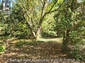 23040 Doherty Street, Chatham-Kent, Ontario  N0P 1V0 - Photo 8 - 26009853
