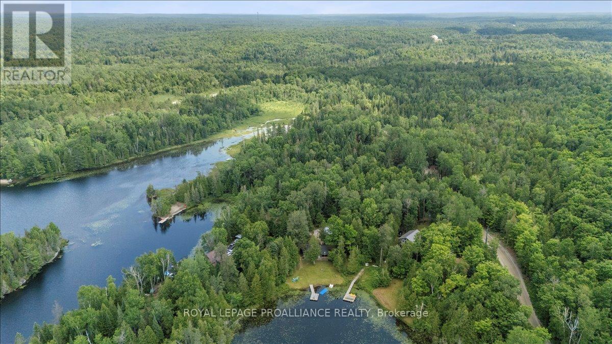17 Halcomb Lane, Limerick, Ontario  K0L 1P0 - Photo 10 - X13072802