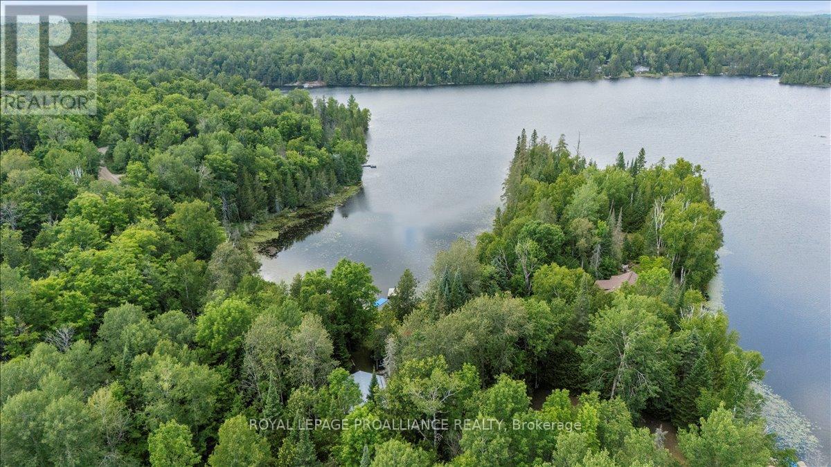 17 Halcomb Lane, Limerick, Ontario  K0L 1P0 - Photo 6 - X13072802
