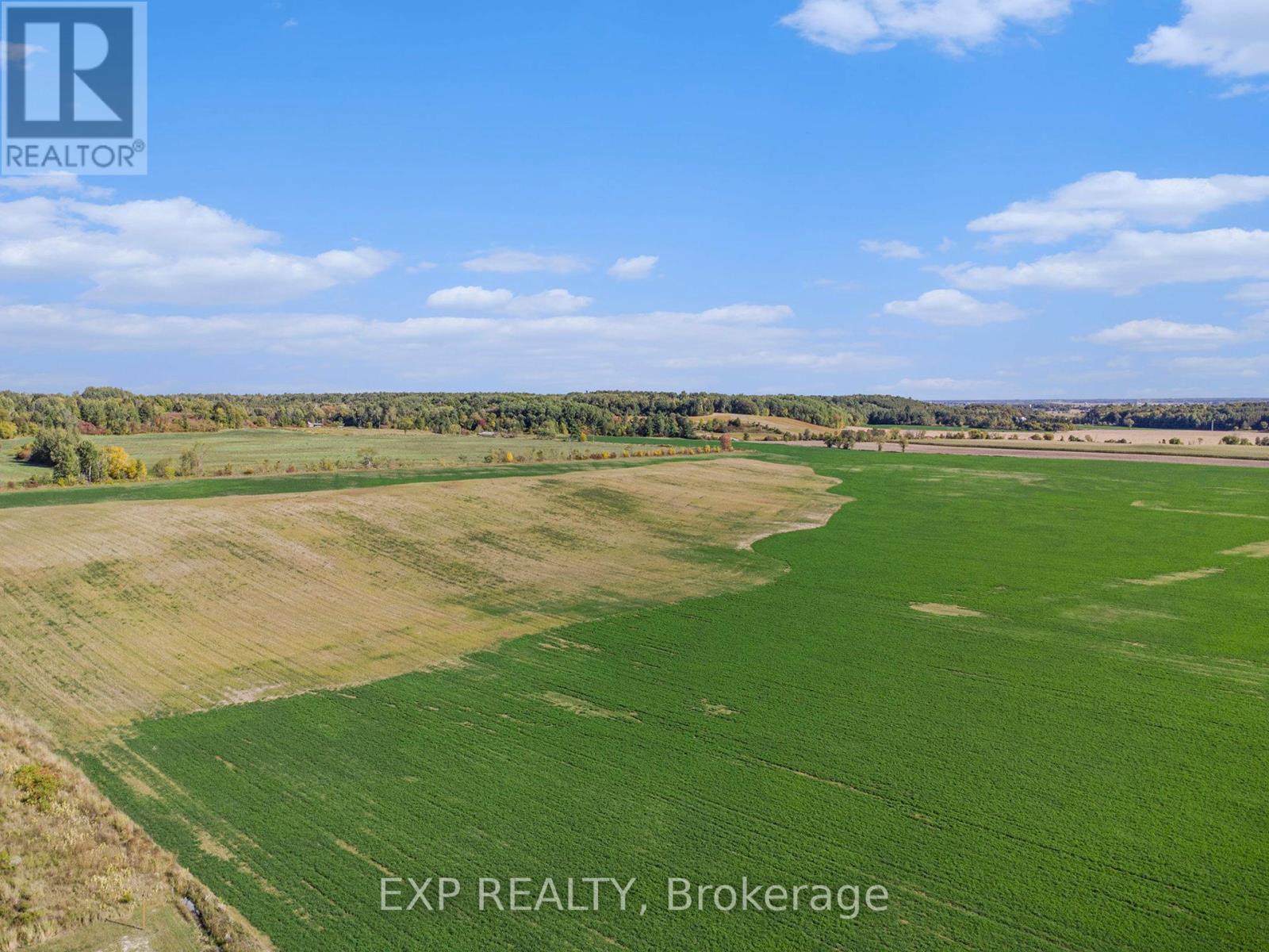 1919 Clark Road, Clarence-Rockland, Ontario  K4K 1K7 - Photo 43 - X13072732