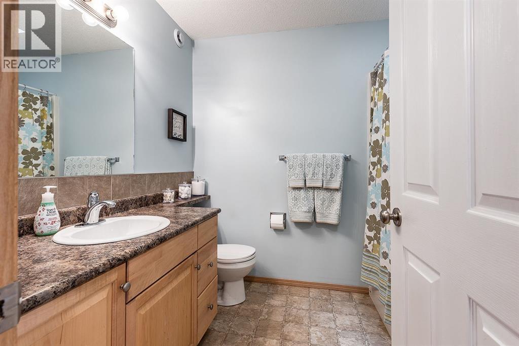 14 Cottonwood Court SW, Medicine Hat, Alberta  T1B 4R5 - Photo 18 - A2307213