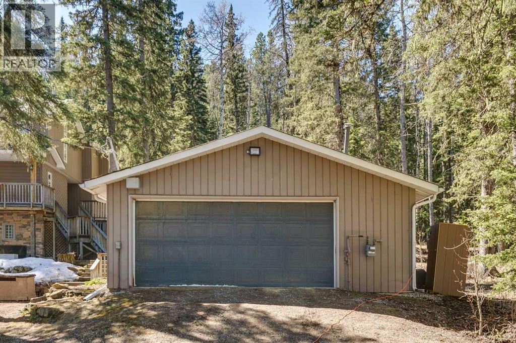 241 Mountain Lion Drive, Rural Rocky View County, Alberta  T0L 0K0 - Photo 41 - A2304496