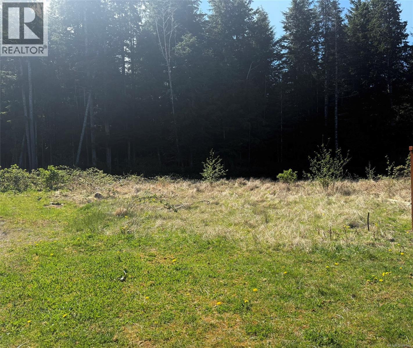 6250 Hunt St, Port Hardy, British Columbia  V0N 2P0 - Photo 4 - 1034143