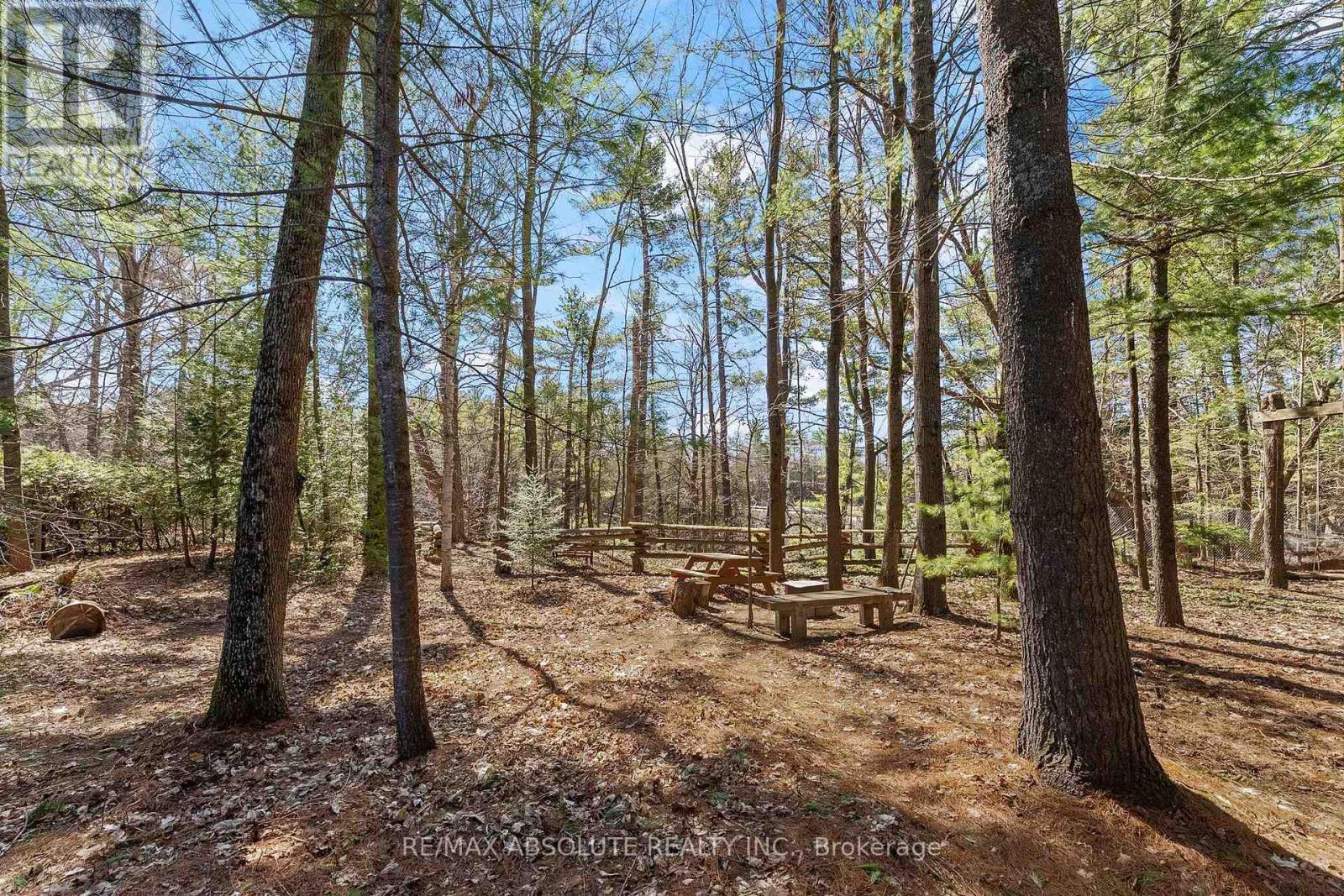 21 Forest Ridge Road, Mcnab/braeside, Ontario  K7S 3T3 - Photo 41 - X13073018