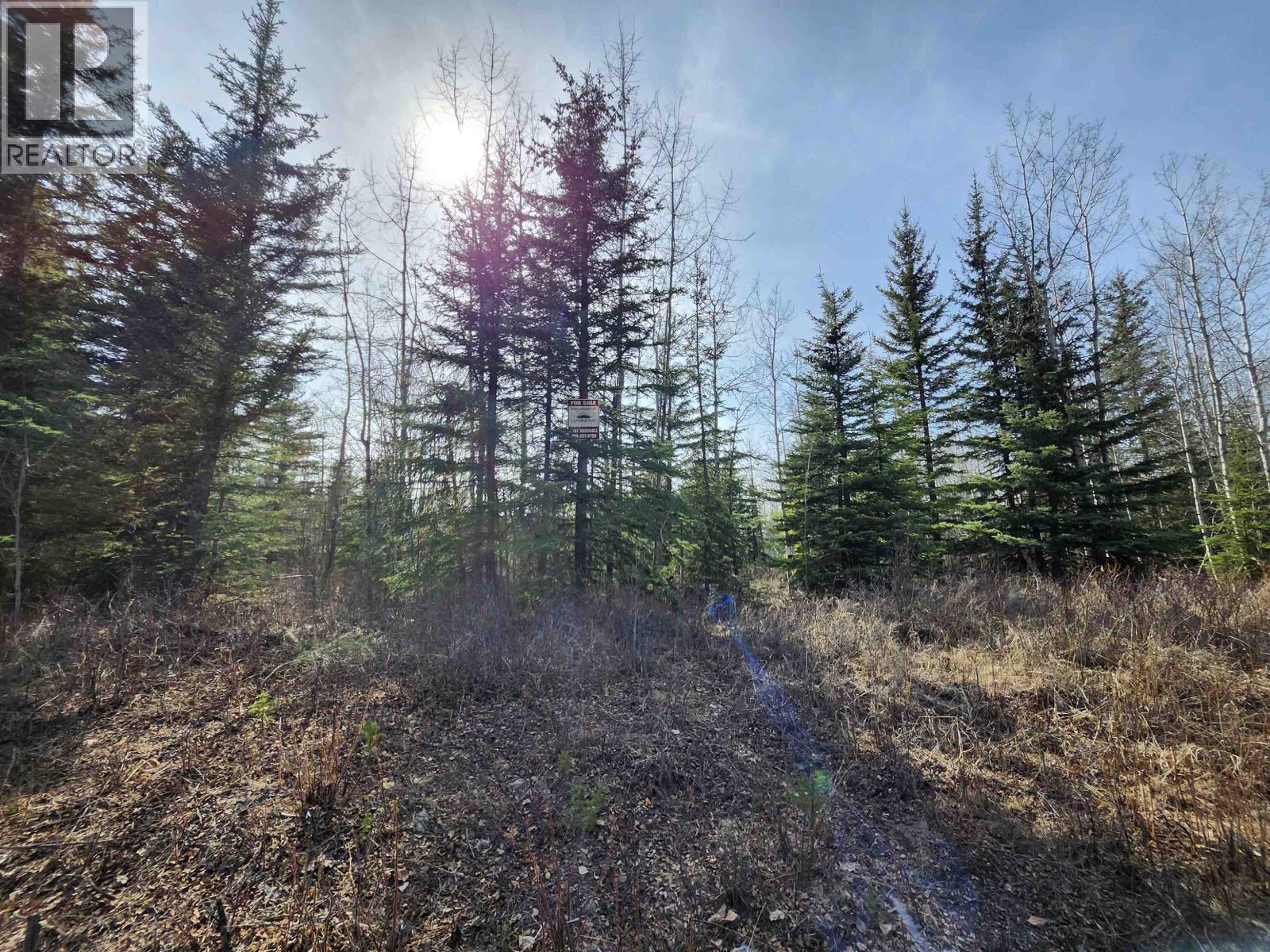 Lot 7 Binta Main Forest Service Road, Burns Lake, British Columbia  V0J 1E4 - Photo 11 - R3117927