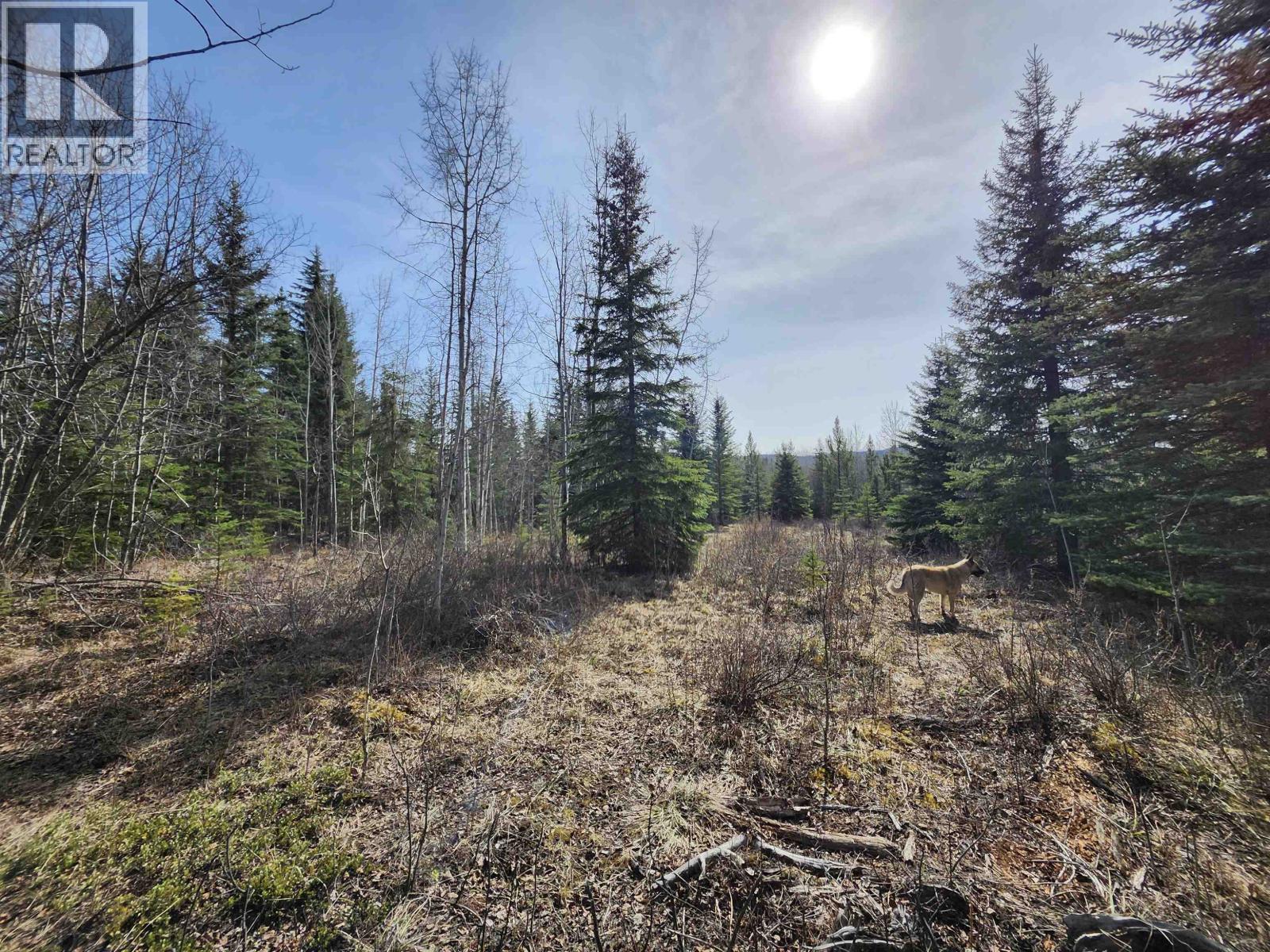 Lot 7 Binta Main Forest Service Road, Burns Lake, British Columbia  V0J 1E4 - Photo 19 - R3117927
