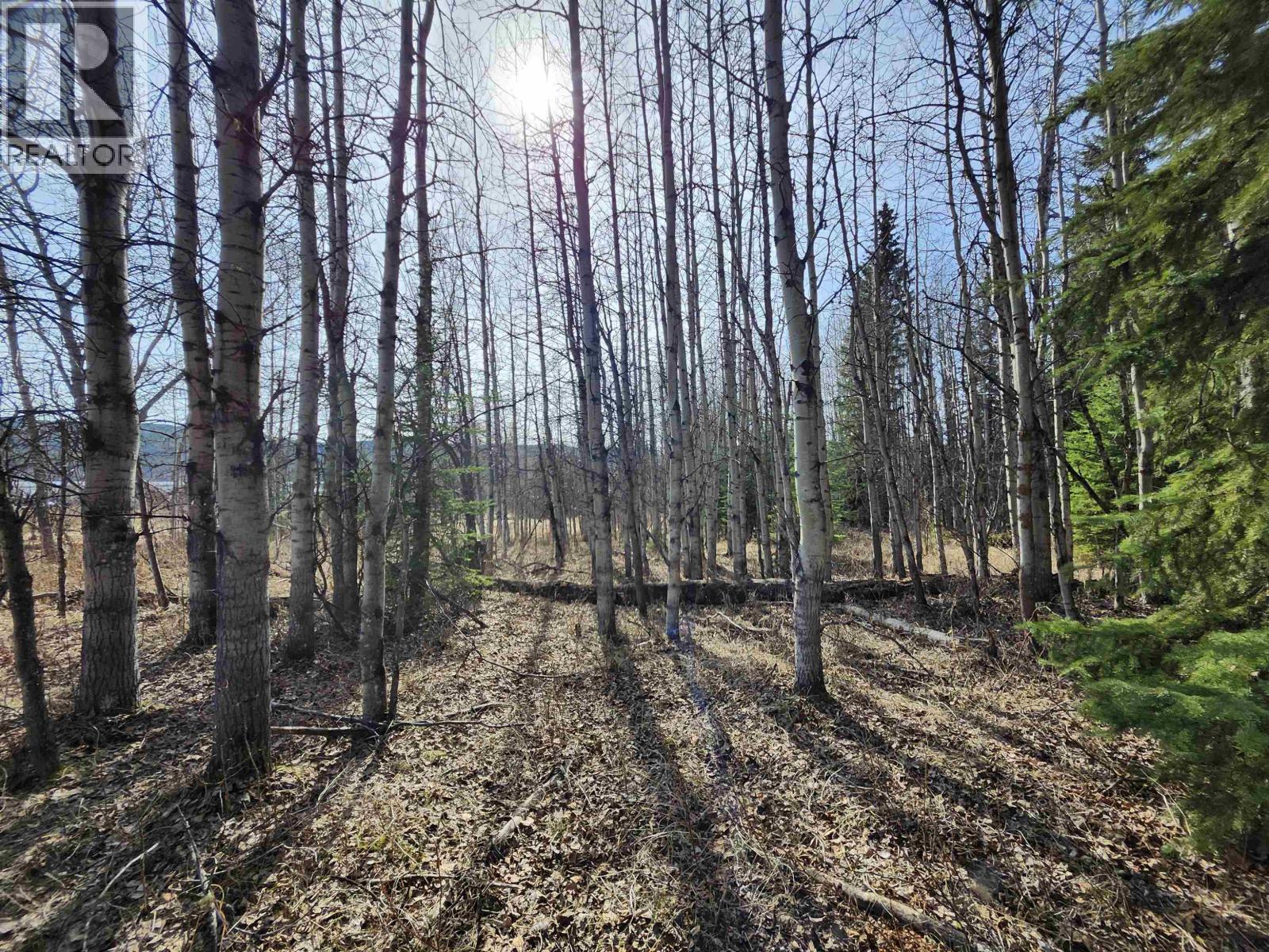 Lot 7 Binta Main Forest Service Road, Burns Lake, British Columbia  V0J 1E4 - Photo 18 - R3117927