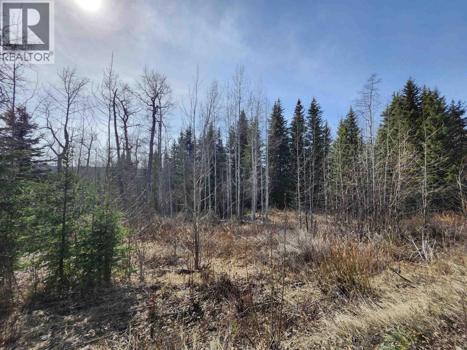 Lot 7 Binta Main Forest Service Road, Burns Lake, British Columbia  V0J 1E4 - Photo 10 - R3117927