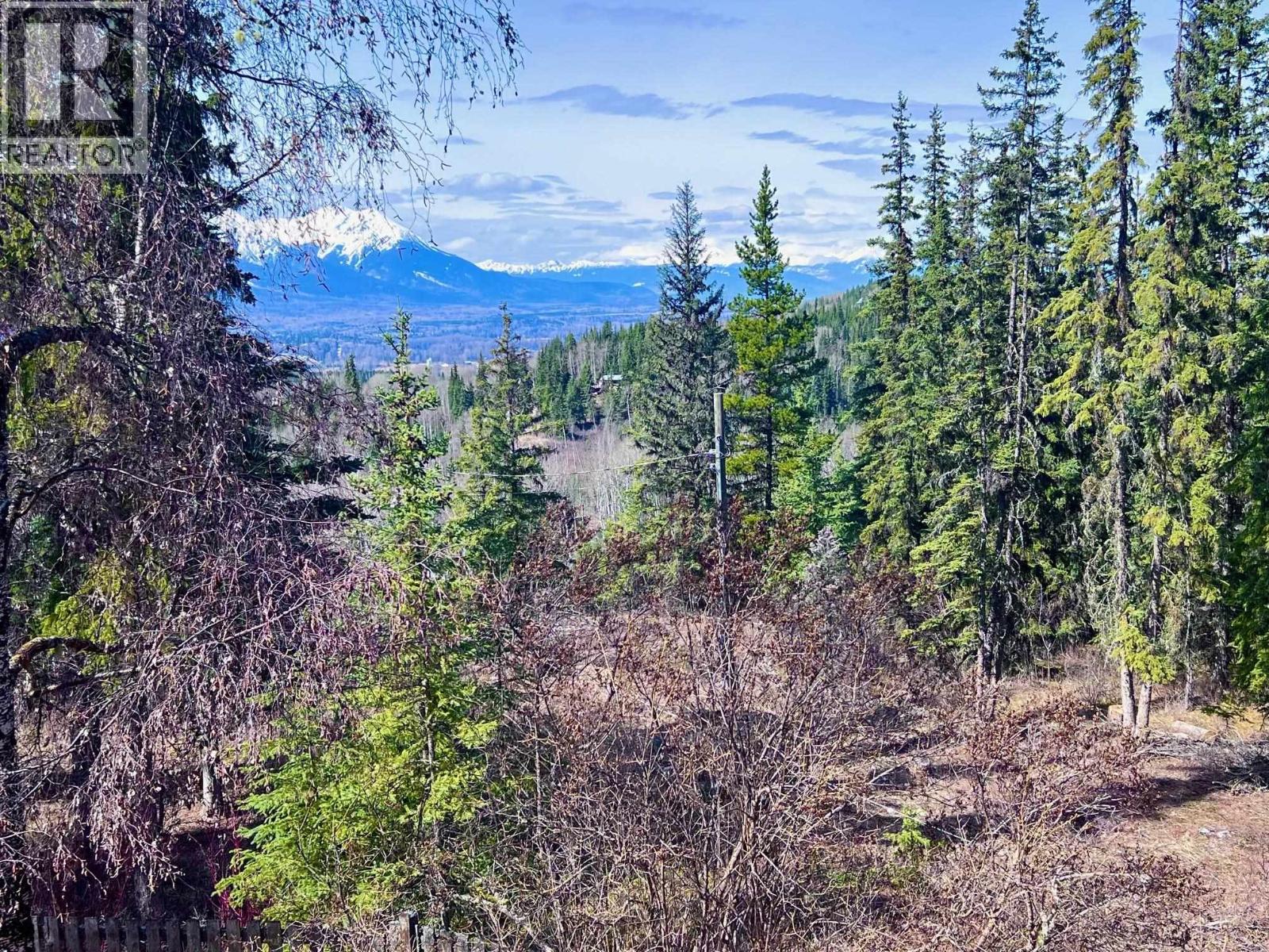 3170 Mountainview Road, Smithers, British Columbia  V0J 2N6 - Photo 8 - R3115586