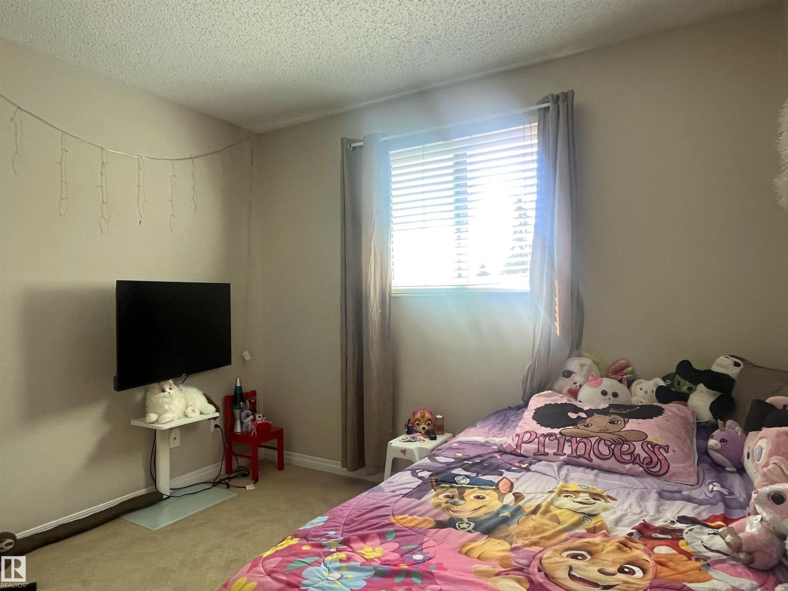 18160 96 Av Nw, Edmonton, Alberta  T5T 3N3 - Photo 17 - E4485388