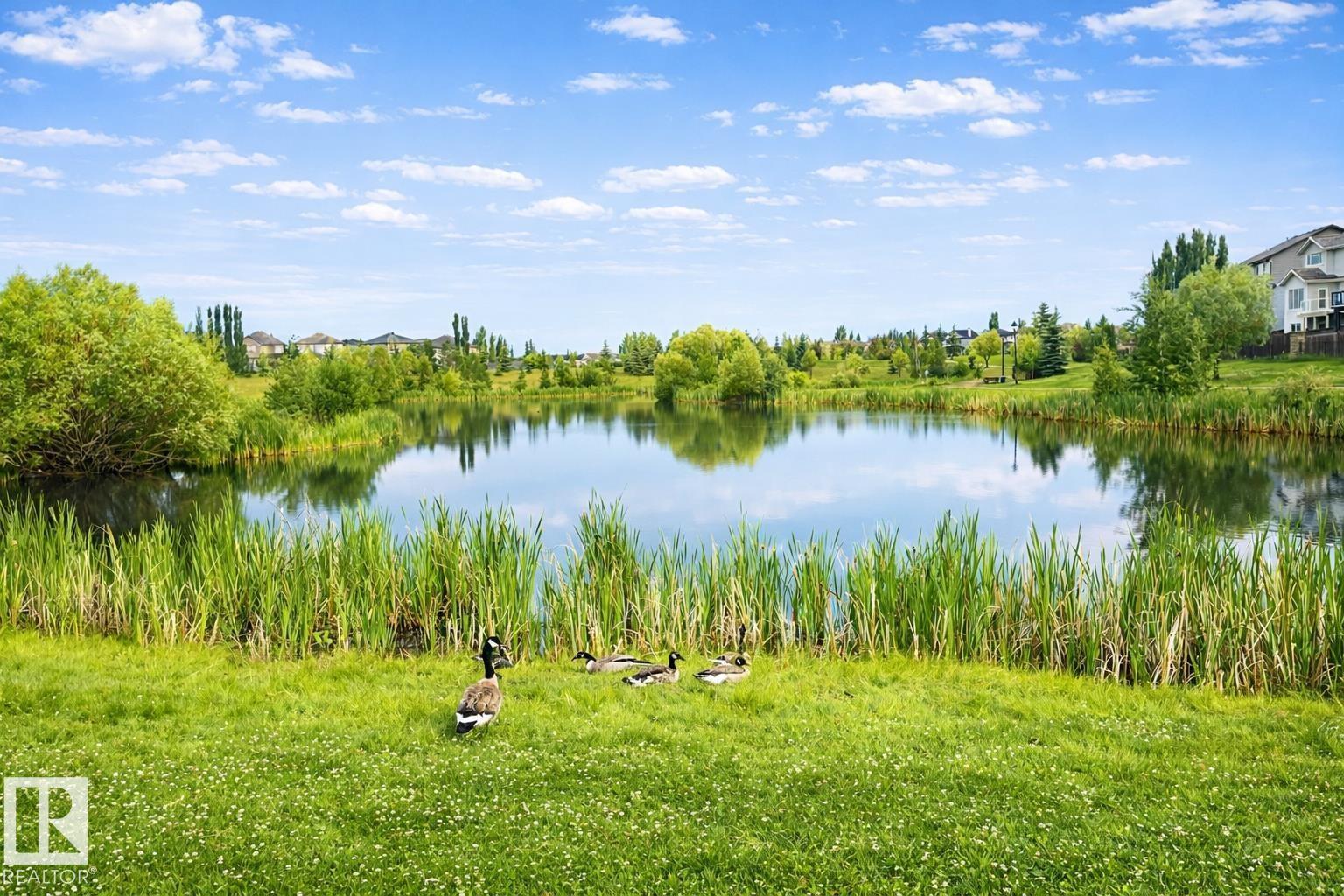 7548 Speaker Wy Nw, Edmonton, Alberta  T6R 0P1 - Photo 6 - E4474257
