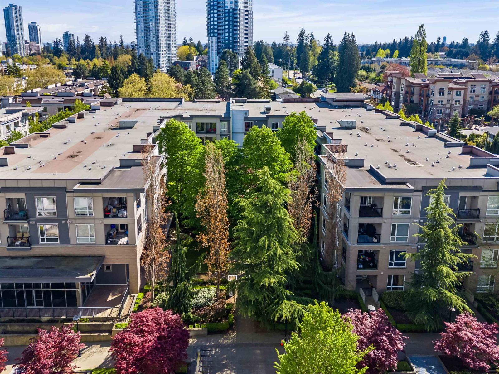 203 13321 102a Avenue, Surrey, British Columbia  V3T 1P6 - Photo 38 - R3109988
