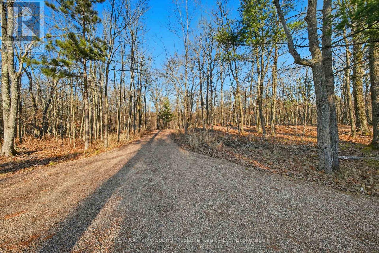 16 Hillside Drive, Carling, Ontario  P0G 1G0 - Photo 44 - X13073494