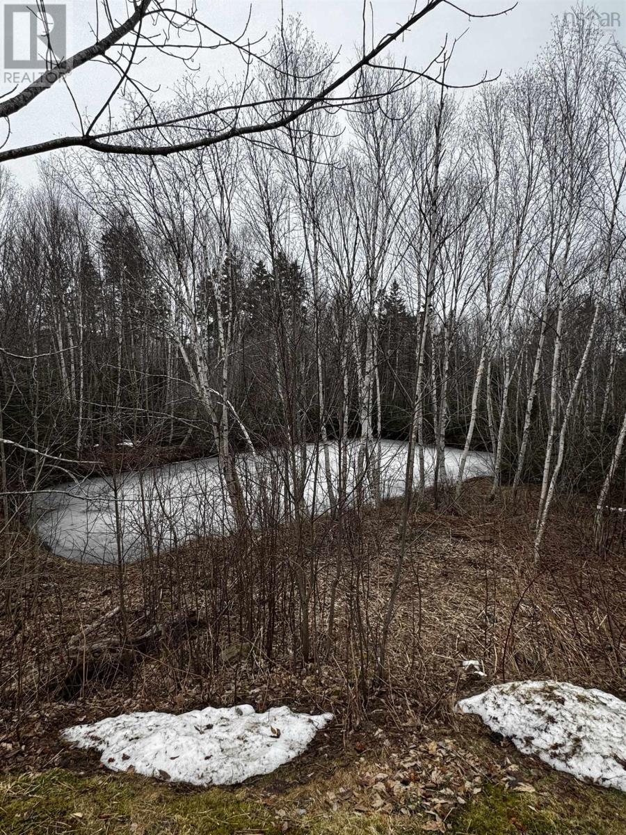 4136 Antigonish Guysborough Road, Lesterdale, Nova Scotia  B0H 1G0 - Photo 9 - 202606112