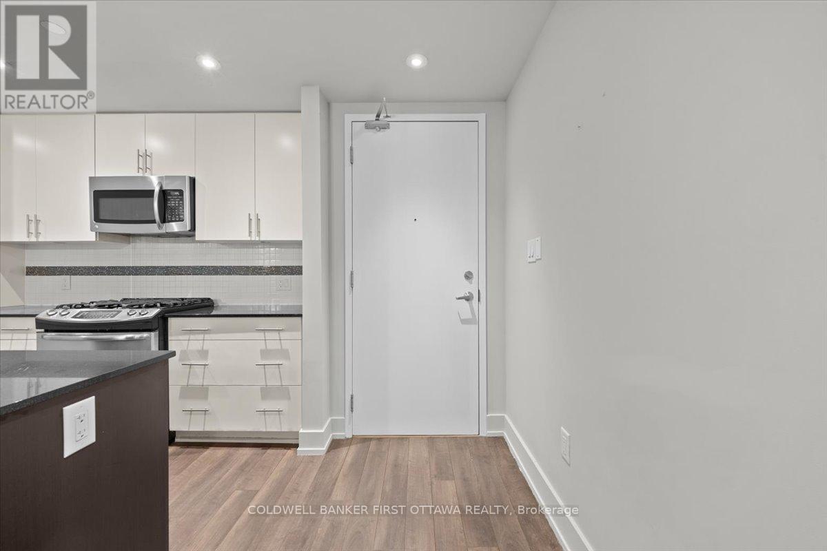 308 - 100 Champagne Avenue, Ottawa, Ontario  K1S 4P4 - Photo 3 - X13073520
