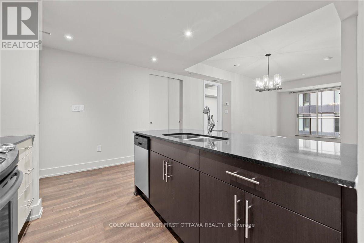 308 - 100 Champagne Avenue, Ottawa, Ontario  K1S 4P4 - Photo 7 - X13073520