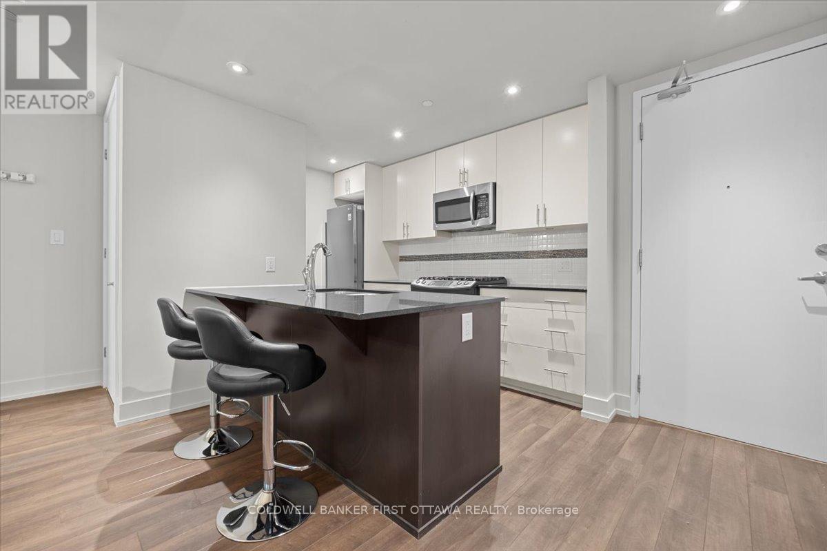 308 - 100 Champagne Avenue, Ottawa, Ontario  K1S 4P4 - Photo 8 - X13073520