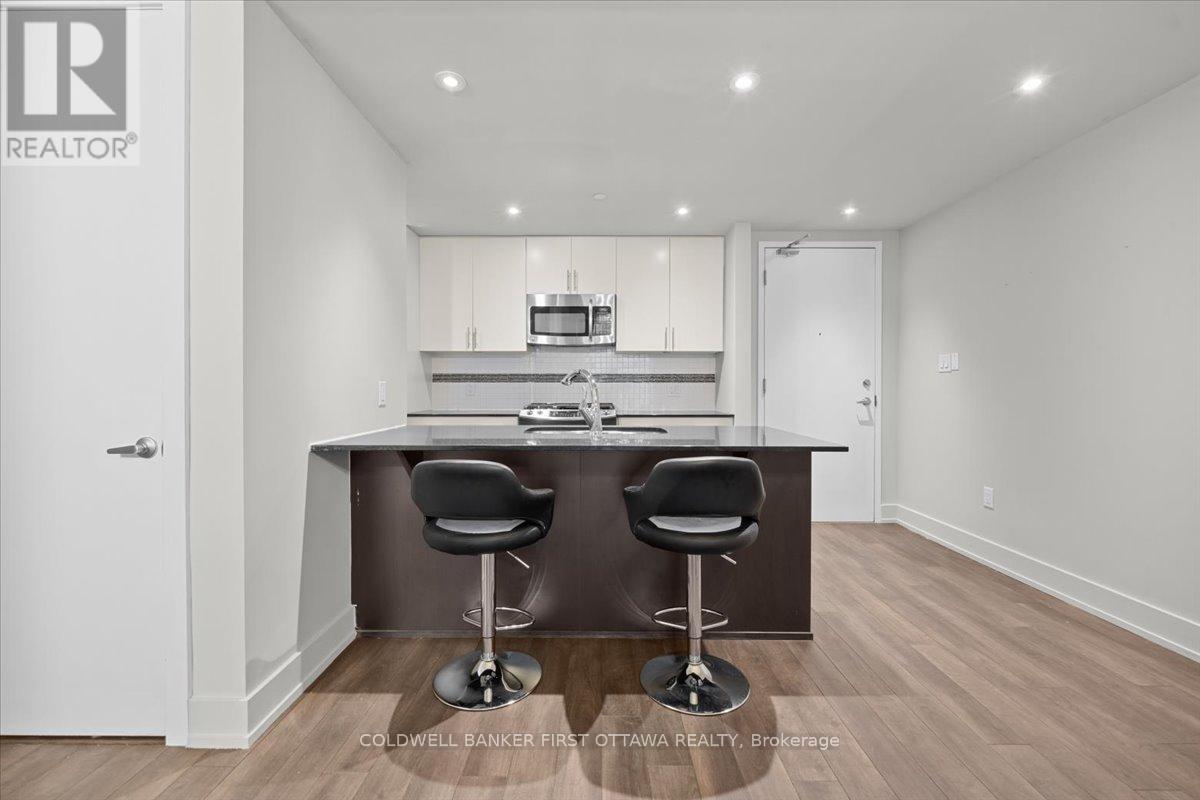 308 - 100 Champagne Avenue, Ottawa, Ontario  K1S 4P4 - Photo 9 - X13073520
