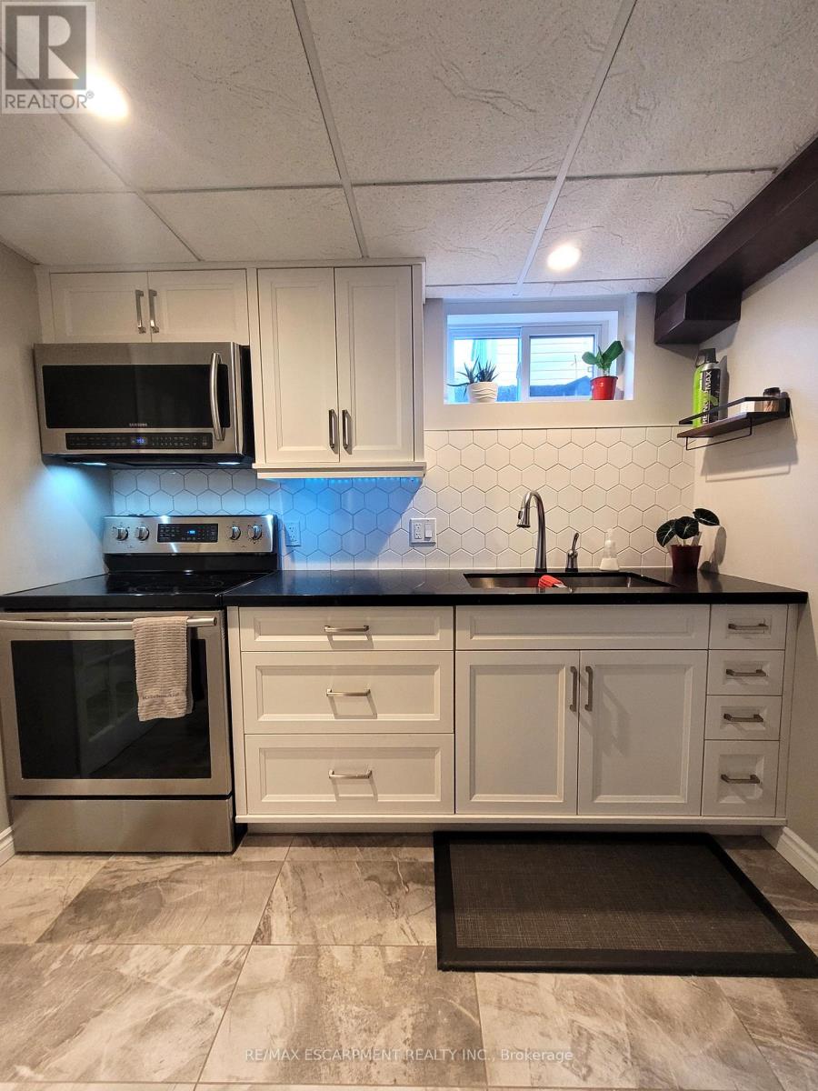 Lower - 7 Brier Crescent, Brantford, Ontario  N3R 3M5 - Photo 21 - X13073672