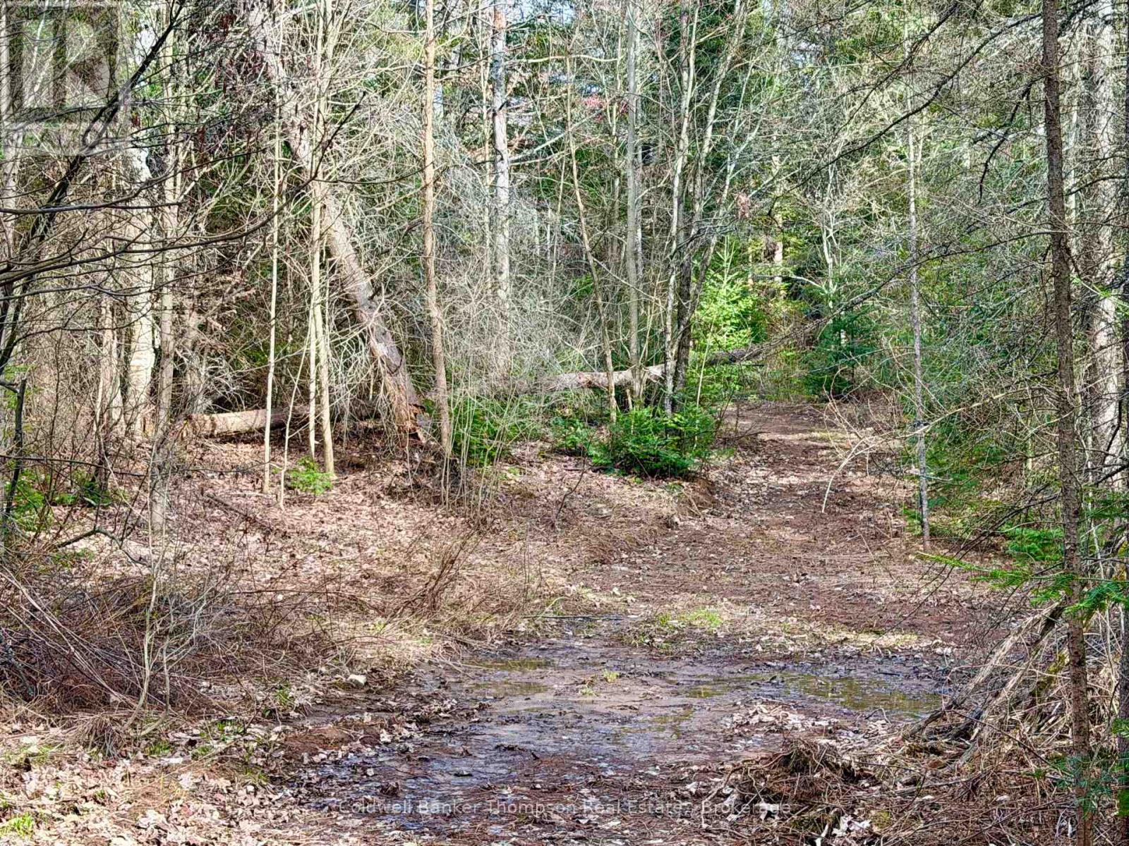 00 Highway 522 Highway W, Parry Sound Remote Area, Ontario  P0H 1S0 - Photo 12 - X13073814