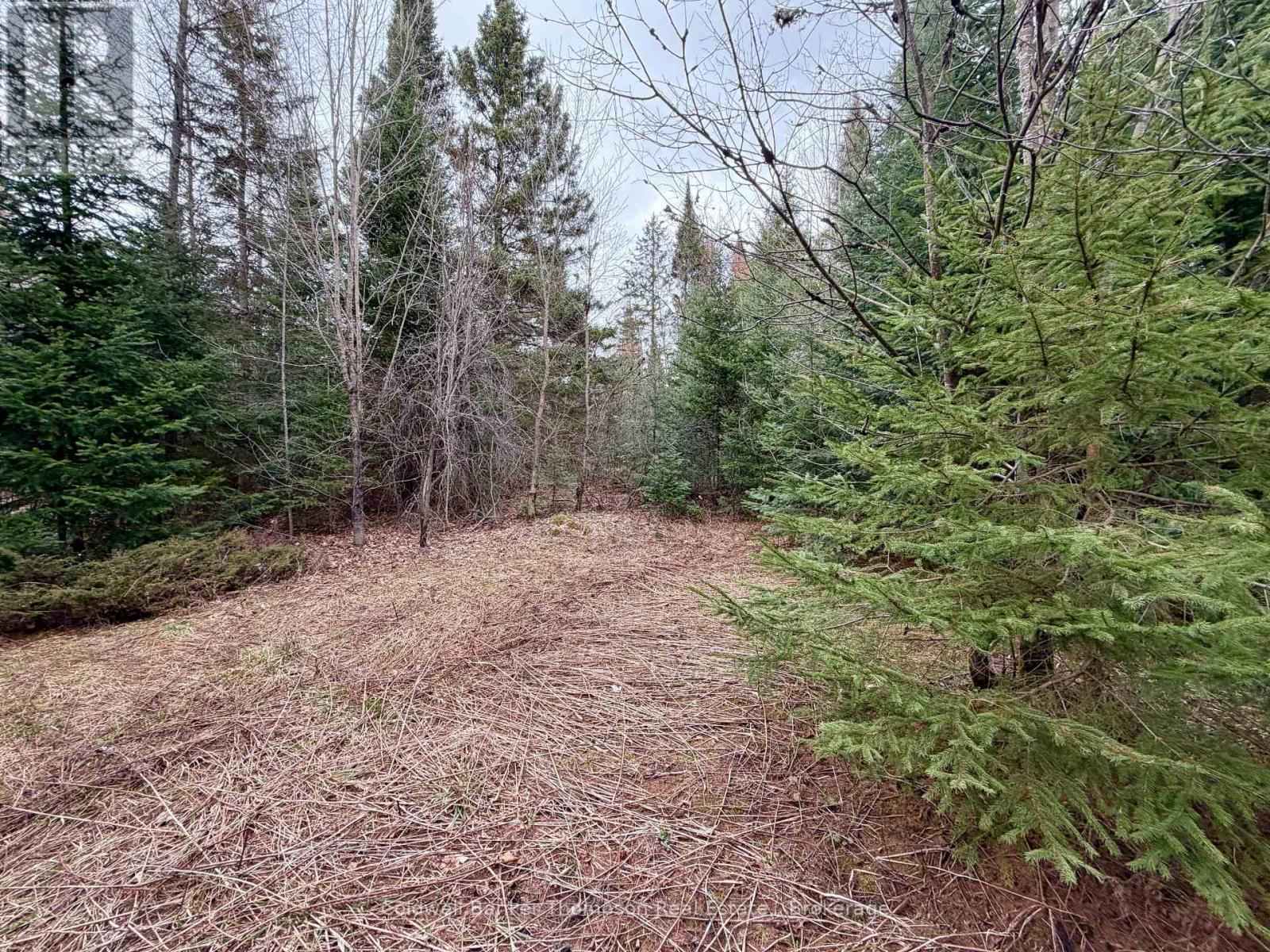 00 Highway 522 Highway W, Parry Sound Remote Area, Ontario  P0H 1S0 - Photo 13 - X13073814