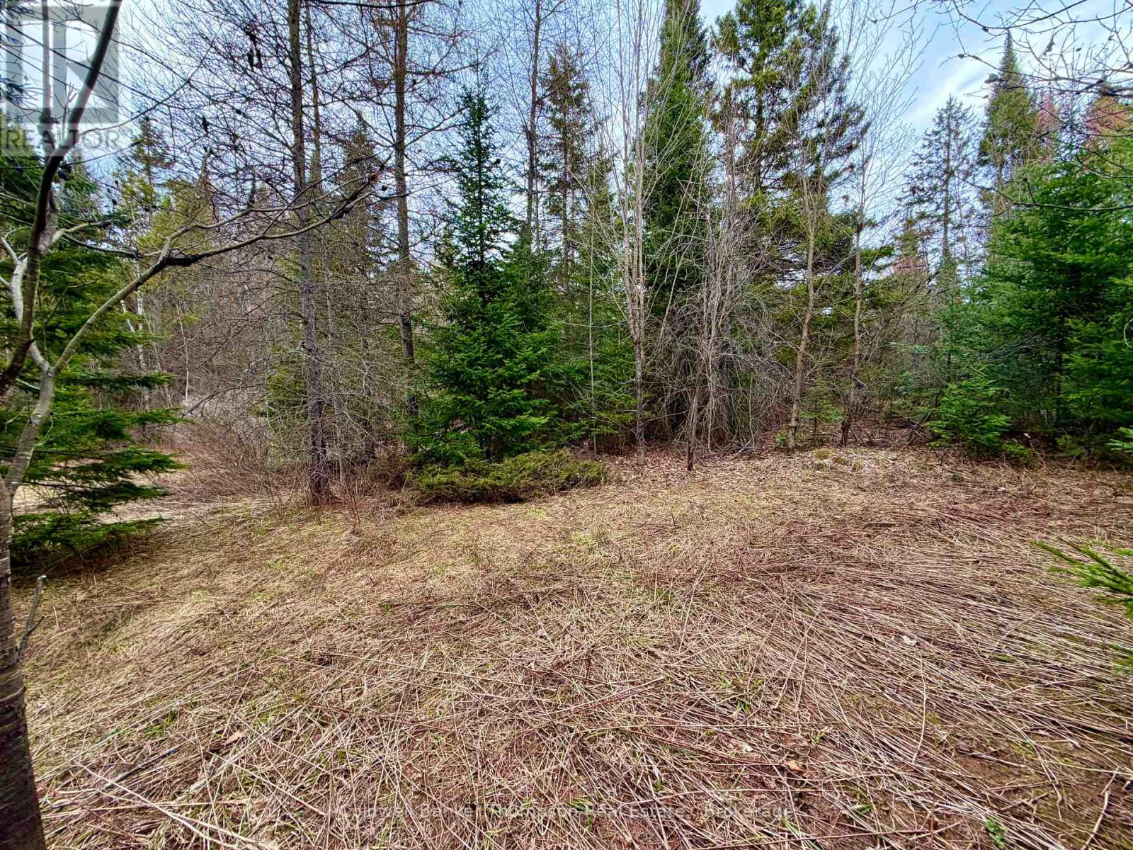 00 Highway 522 Highway W, Parry Sound Remote Area, Ontario  P0H 1S0 - Photo 14 - X13073814