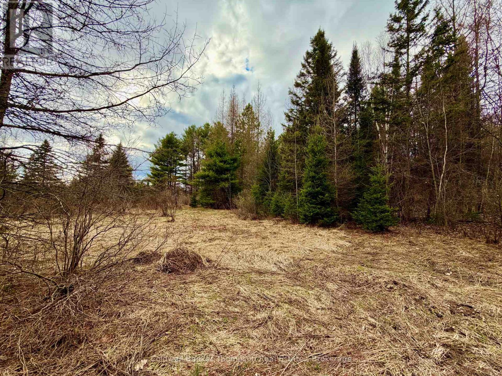 00 Highway 522 Highway W, Parry Sound Remote Area, Ontario  P0H 1S0 - Photo 15 - X13073814
