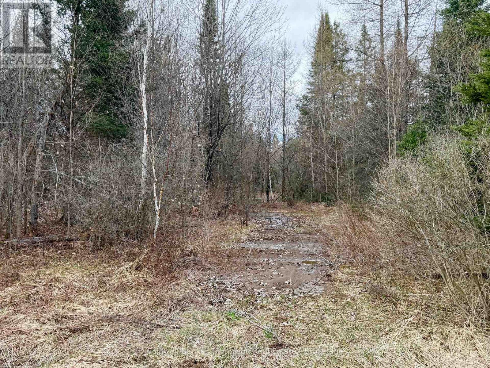 00 Highway 522 Highway W, Parry Sound Remote Area, Ontario  P0H 1S0 - Photo 16 - X13073814
