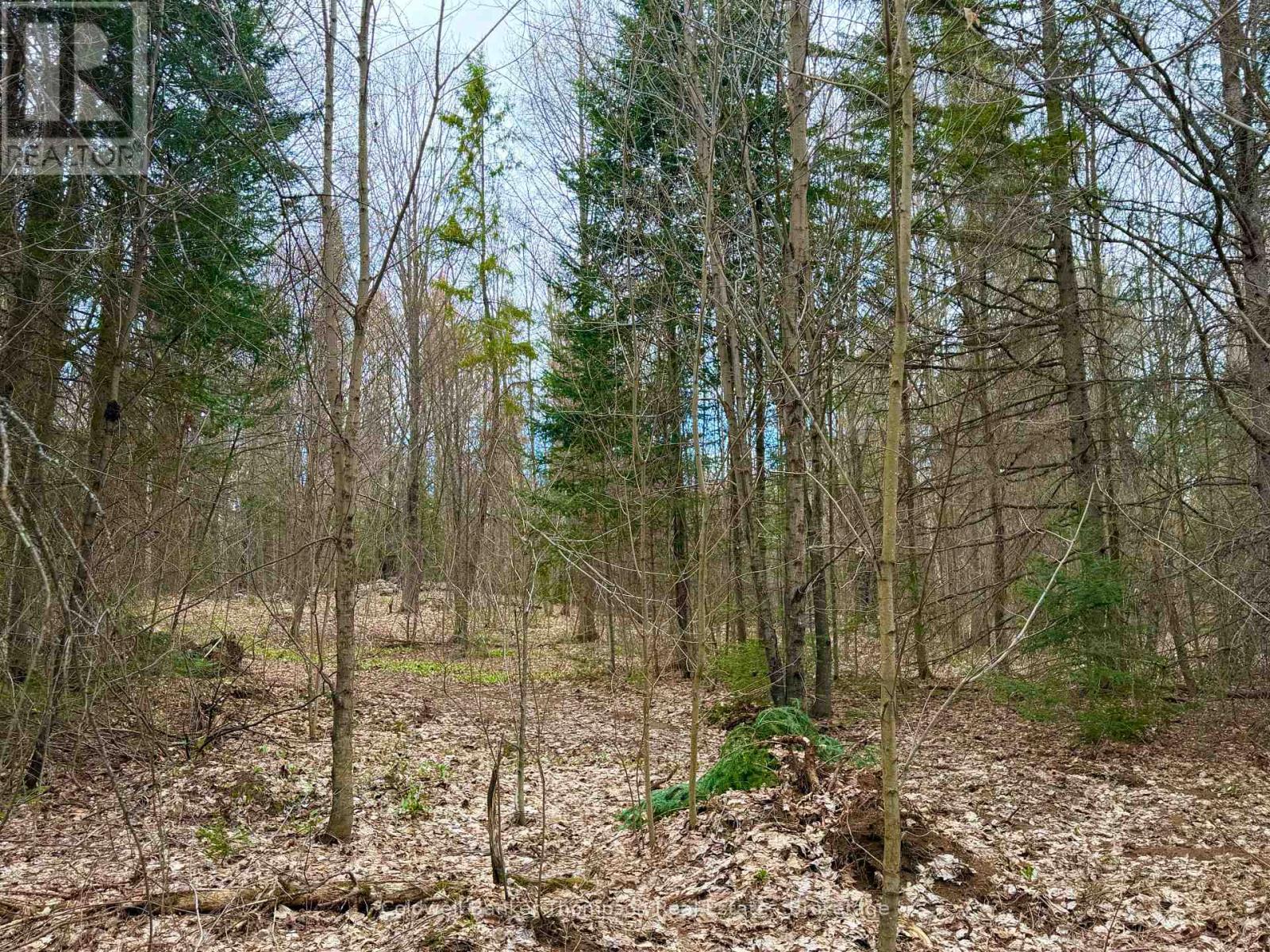 00 Highway 522 Highway W, Parry Sound Remote Area, Ontario  P0H 1S0 - Photo 17 - X13073814