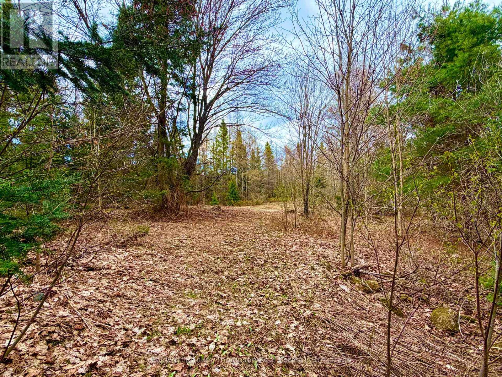00 Highway 522 Highway W, Parry Sound Remote Area, Ontario  P0H 1S0 - Photo 20 - X13073814