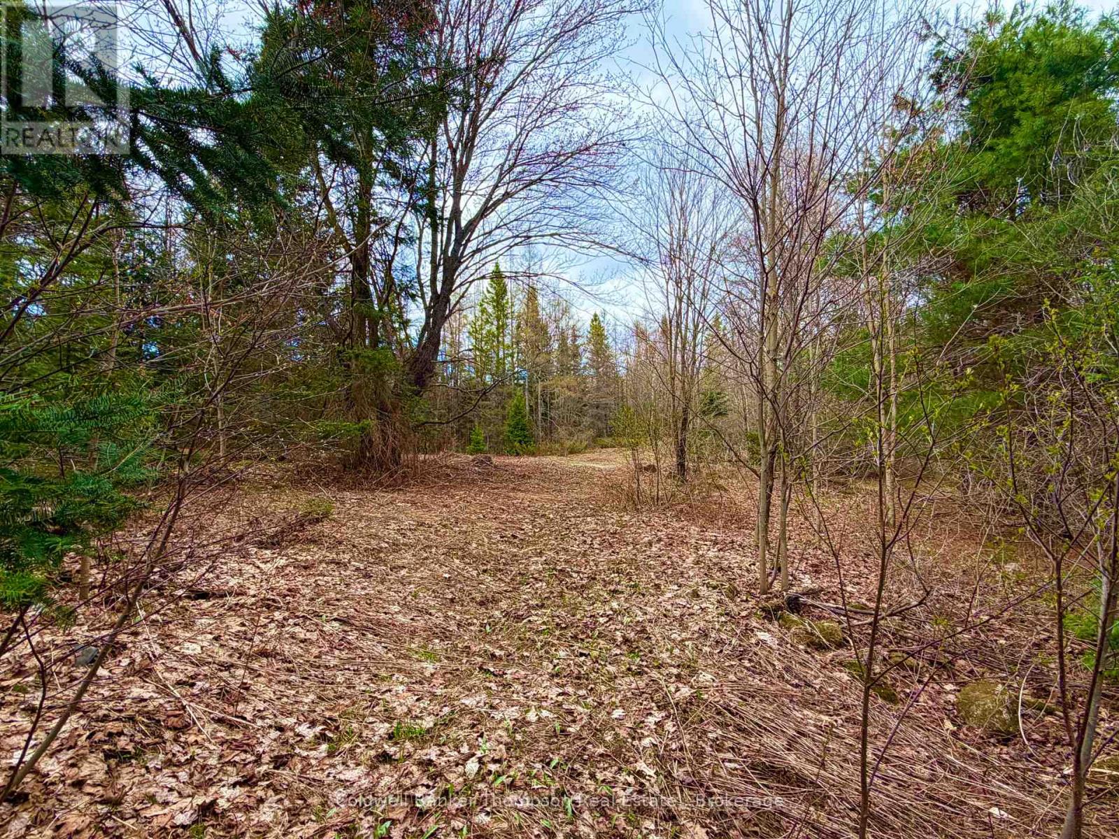 00 Highway 522 Highway W, Parry Sound Remote Area, Ontario  P0H 1S0 - Photo 21 - X13073814