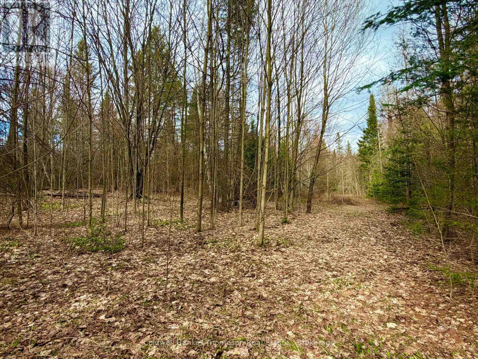 00 Highway 522 Highway W, Parry Sound Remote Area, Ontario  P0H 1S0 - Photo 22 - X13073814