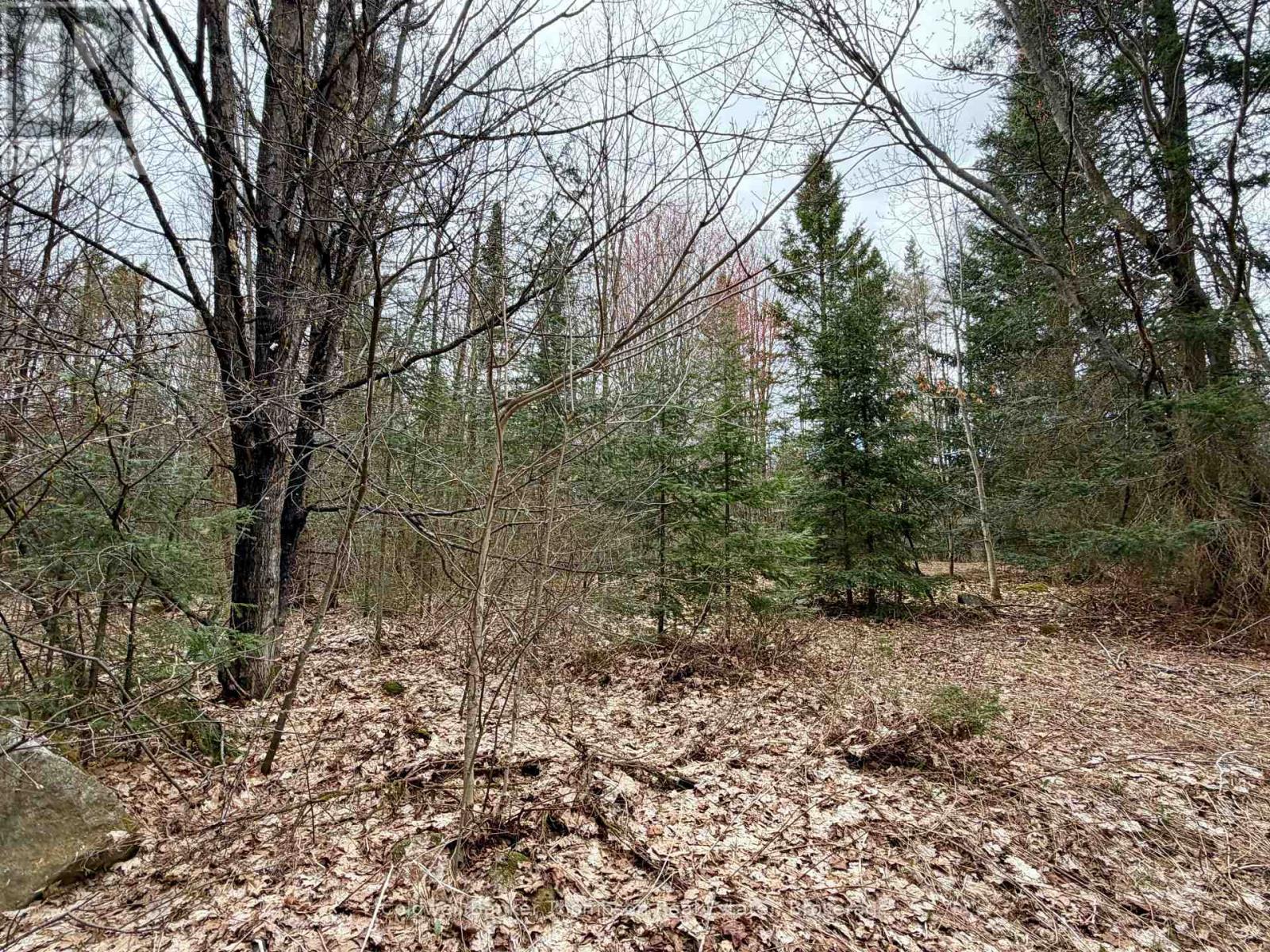 00 Highway 522 Highway W, Parry Sound Remote Area, Ontario  P0H 1S0 - Photo 27 - X13073814