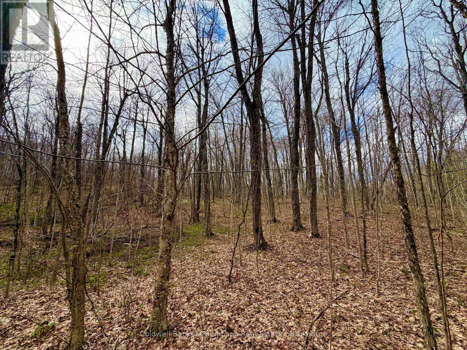 0-A Maple Drive S, Parry Sound Remote Area, Ontario  P0H 1S0 - Photo 10 - X13073818