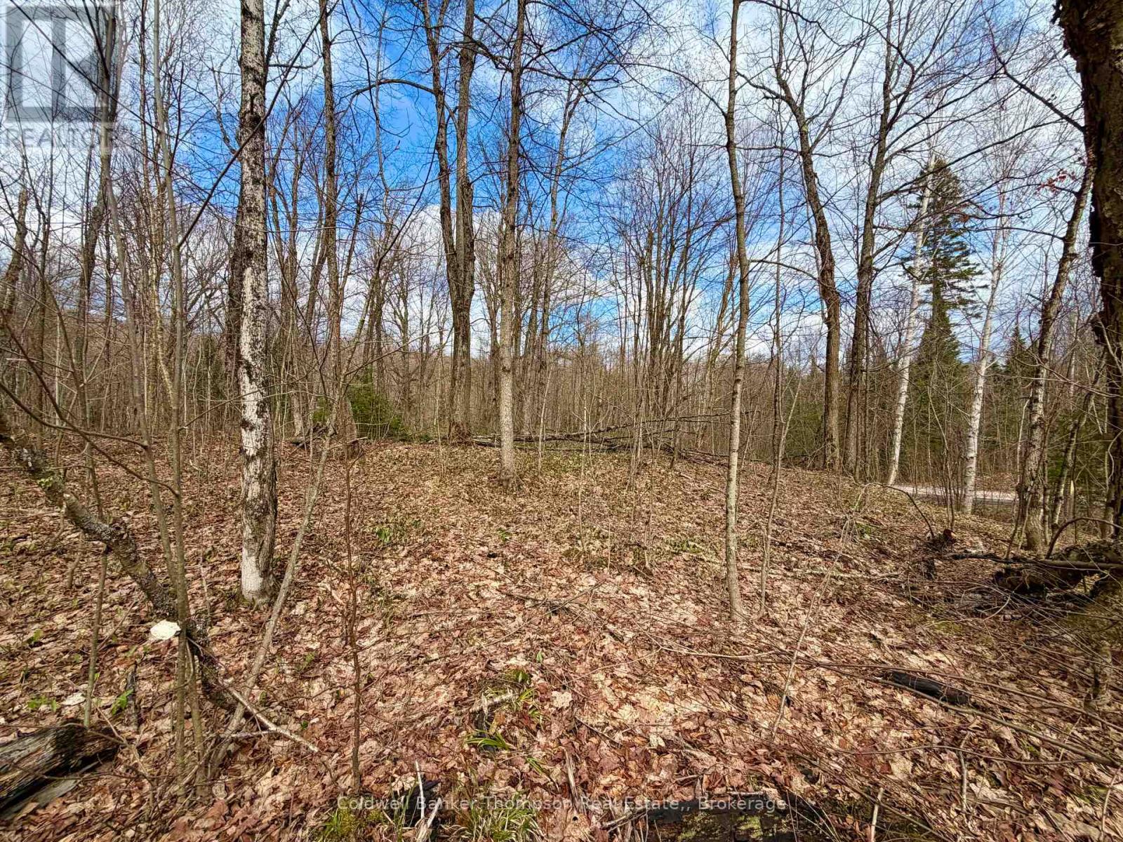 0-A Maple Drive S, Parry Sound Remote Area, Ontario  P0H 1S0 - Photo 11 - X13073818