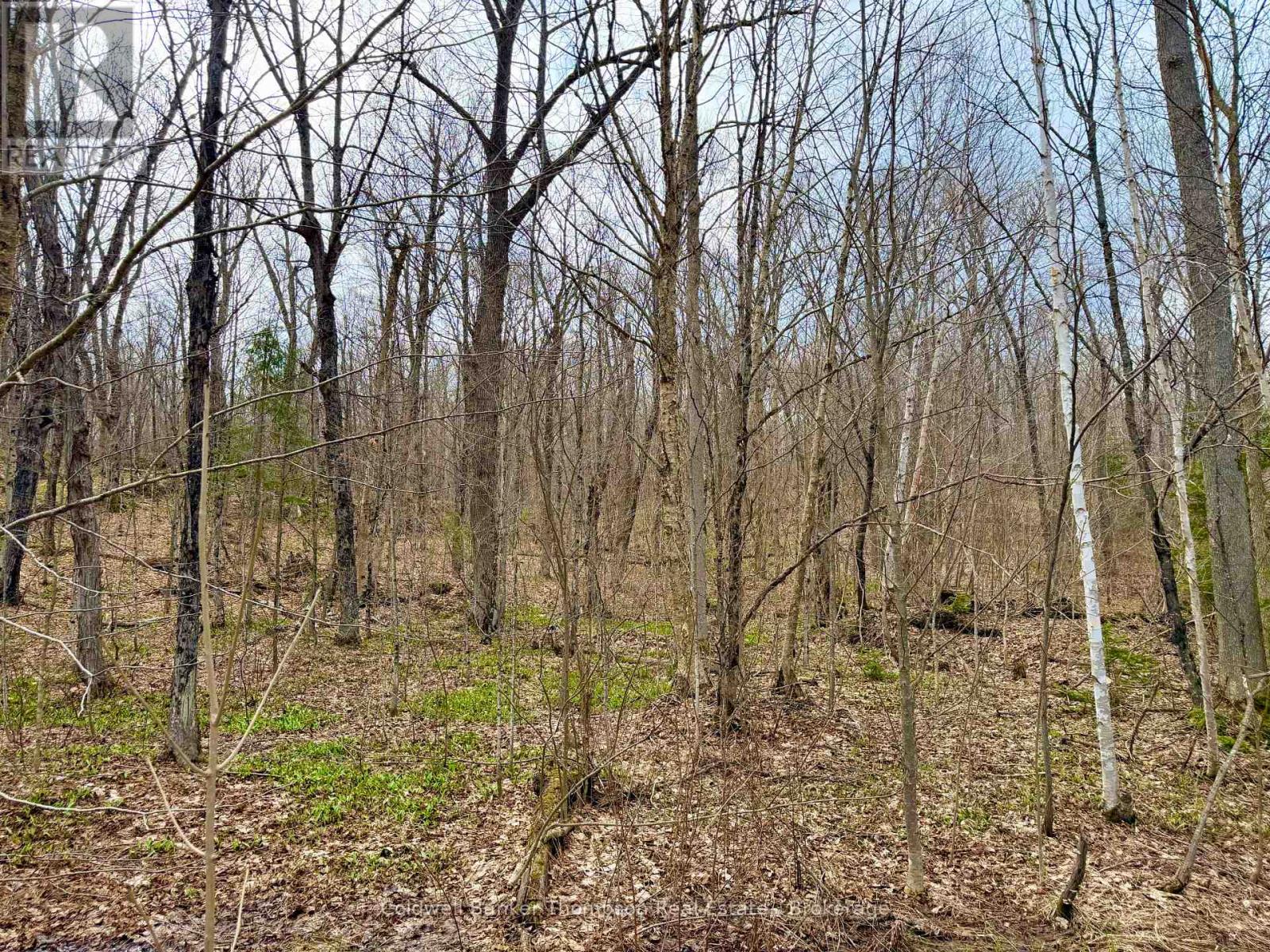 0-A Maple Drive S, Parry Sound Remote Area, Ontario  P0H 1S0 - Photo 12 - X13073818