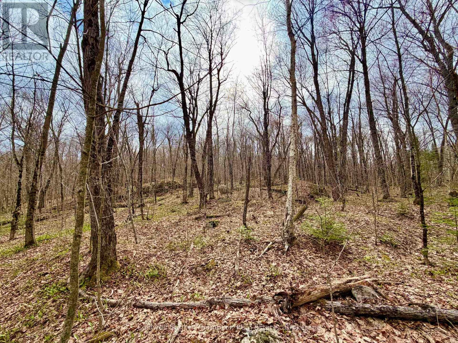 0-A Maple Drive S, Parry Sound Remote Area, Ontario  P0H 1S0 - Photo 15 - X13073818