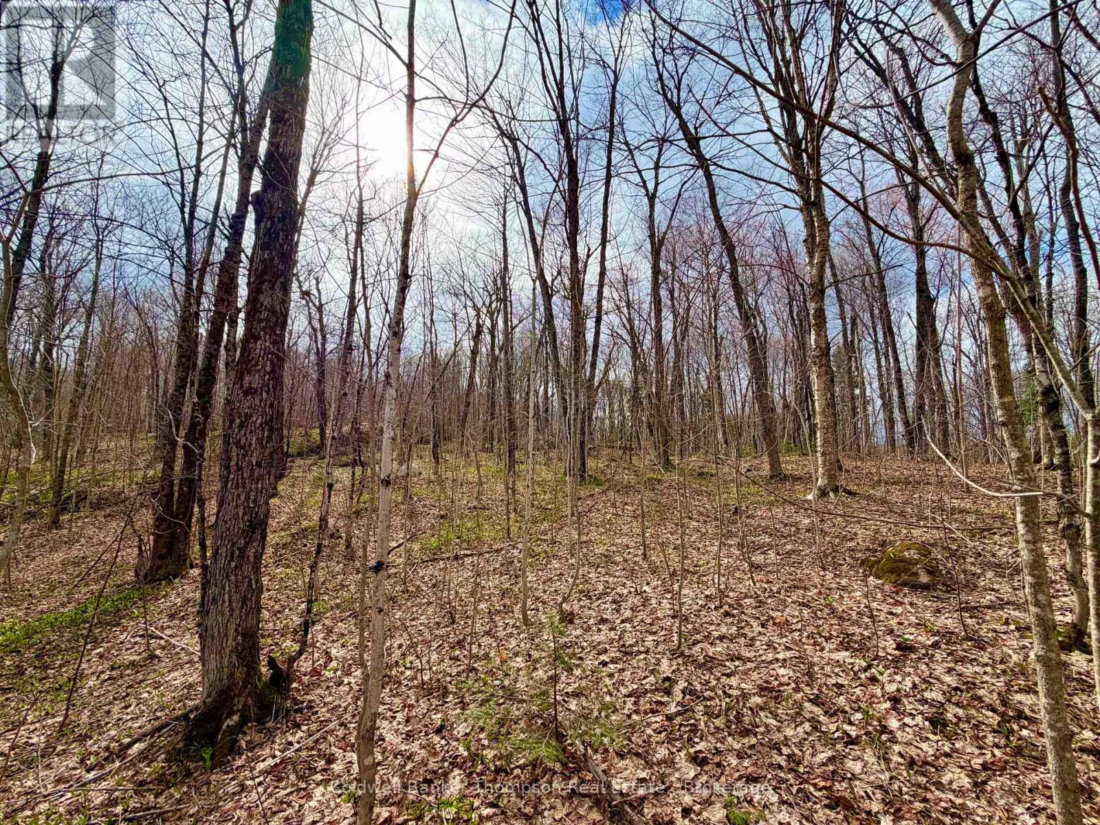 0-A Maple Drive S, Parry Sound Remote Area, Ontario  P0H 1S0 - Photo 16 - X13073818