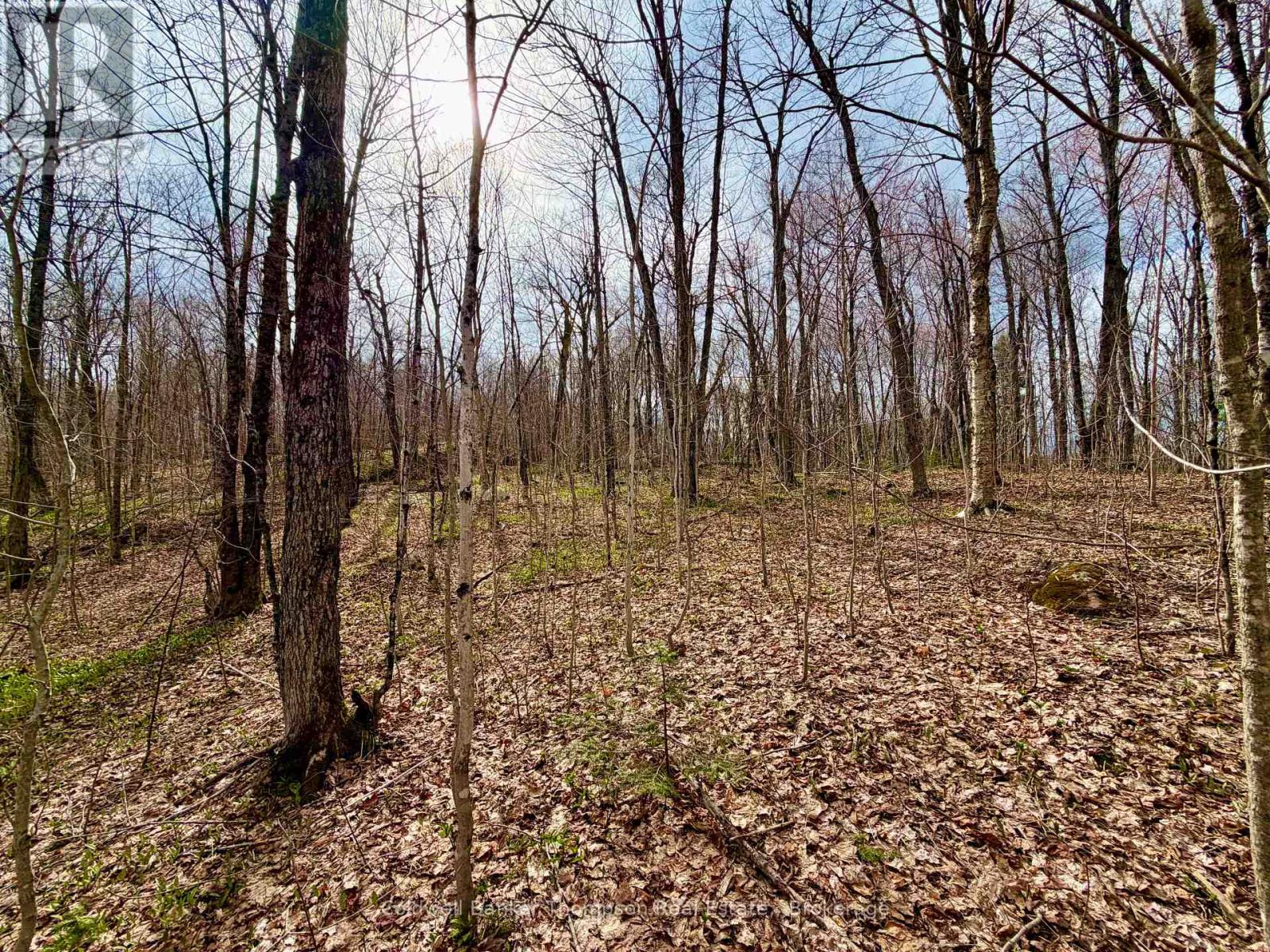 0-A Maple Drive S, Parry Sound Remote Area, Ontario  P0H 1S0 - Photo 17 - X13073818