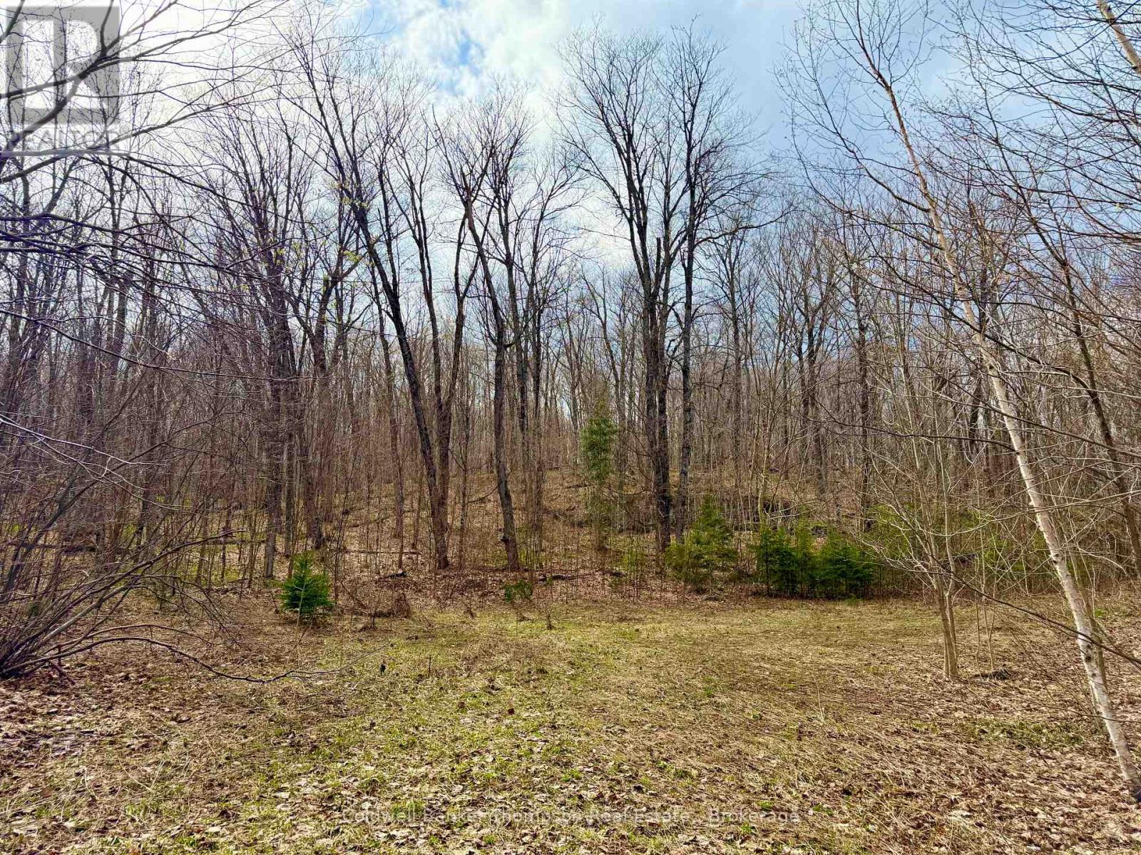 0-A Maple Drive S, Parry Sound Remote Area, Ontario  P0H 1S0 - Photo 2 - X13073818