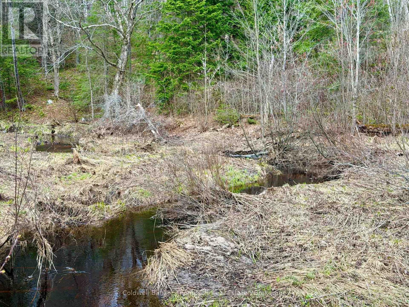 0-A Maple Drive S, Parry Sound Remote Area, Ontario  P0H 1S0 - Photo 5 - X13073818