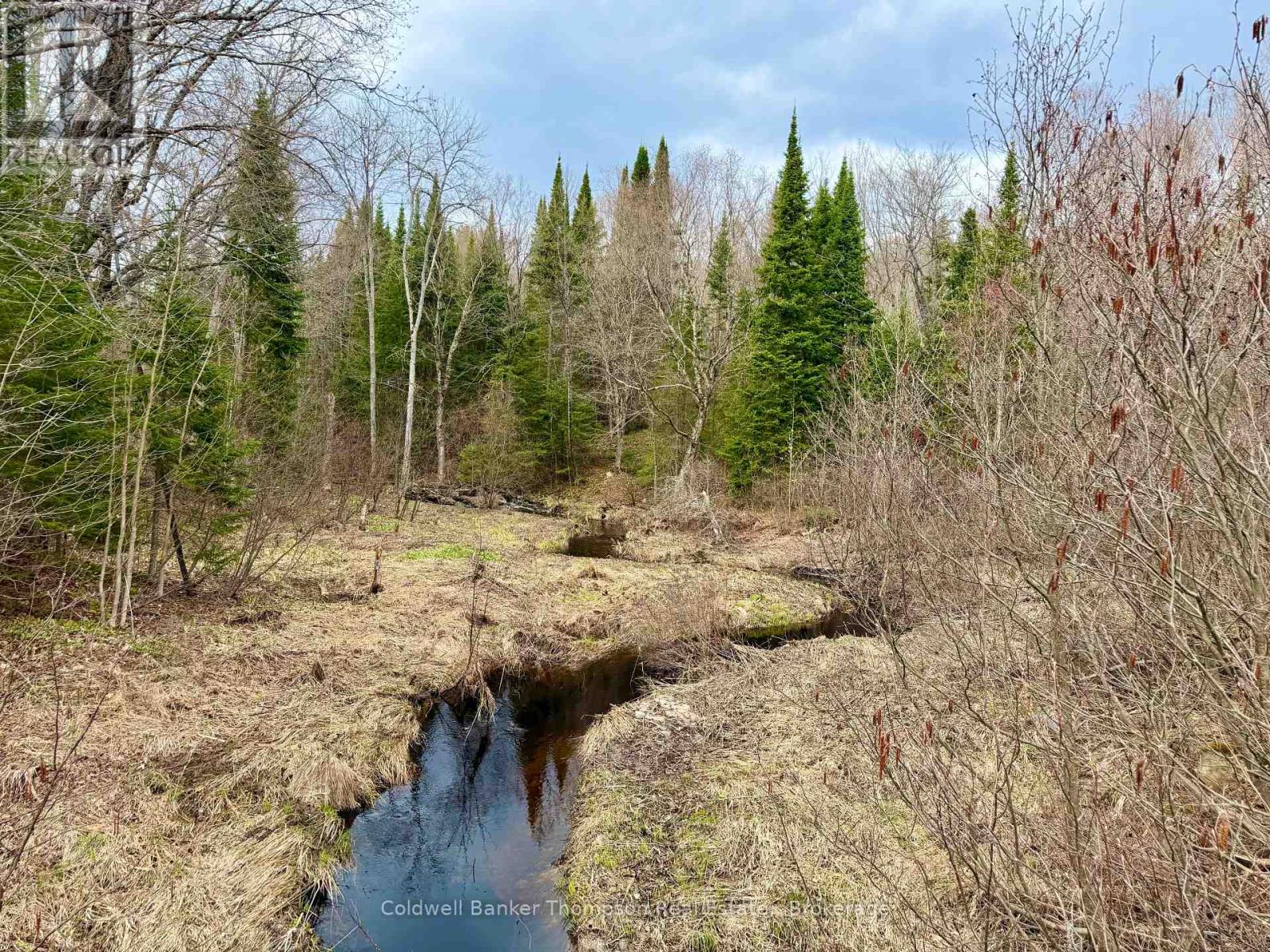 0-A Maple Drive S, Parry Sound Remote Area, Ontario  P0H 1S0 - Photo 6 - X13073818
