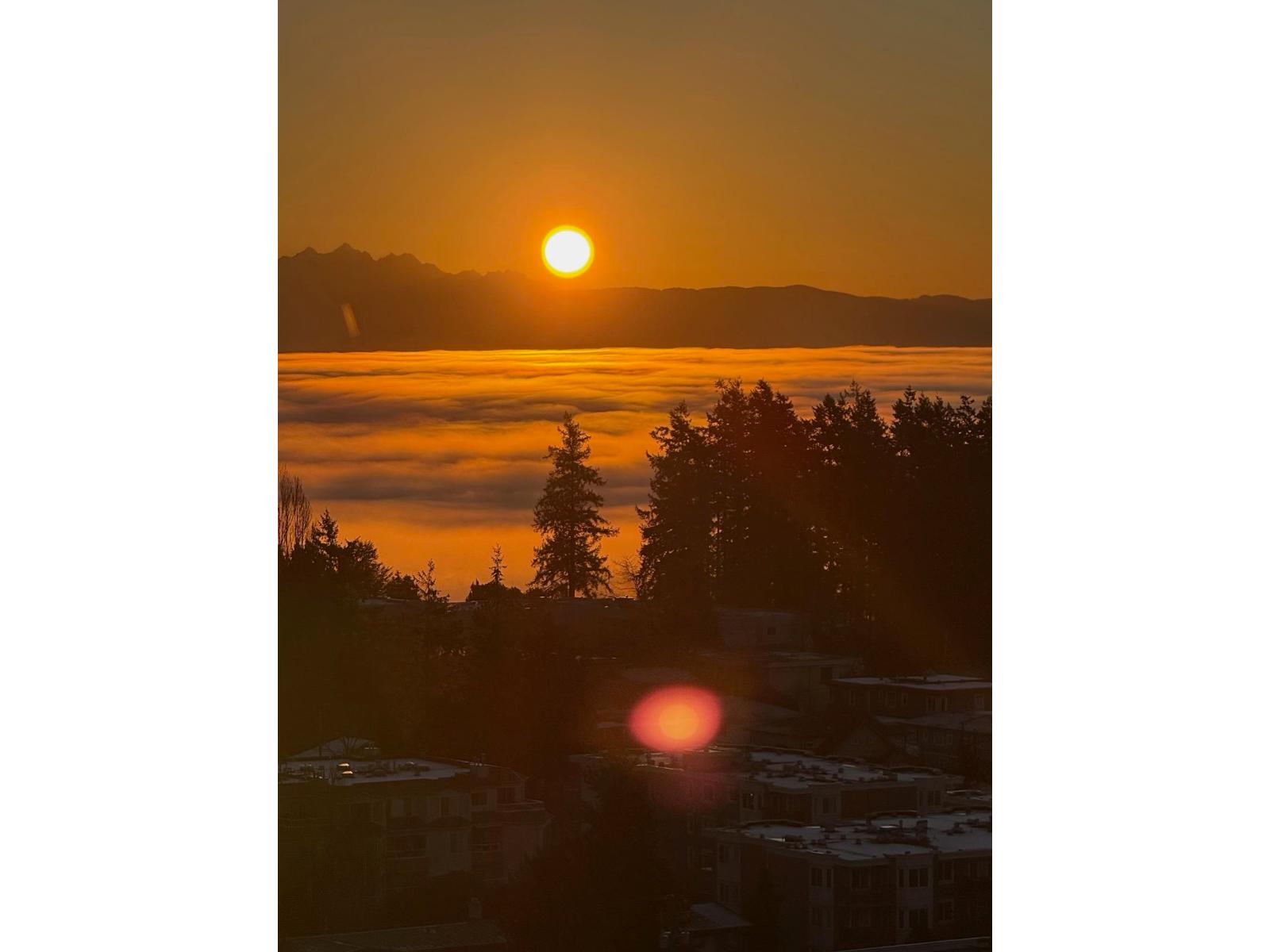 1204 1439 George Street, White Rock, British Columbia  V4B 0B9 - Photo 24 - R3118626