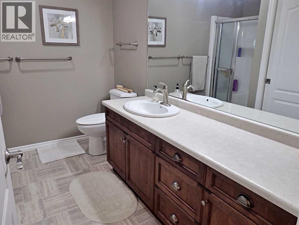5311b 51 Avenue, Vermilion, Alberta  T9X 1V2 - Photo 26 - A2306772