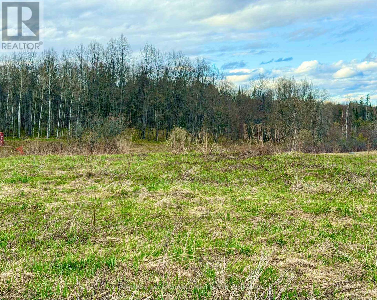 0 Hilltop Road N, Parry Sound Remote Area, Ontario  P0H 1A0 - Photo 3 - X13073830