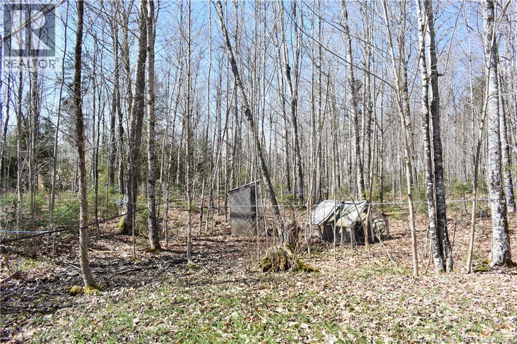 344 Route 575, Pole Hill, New Brunswick  E7P 3H9 - Photo 11 - NB132220